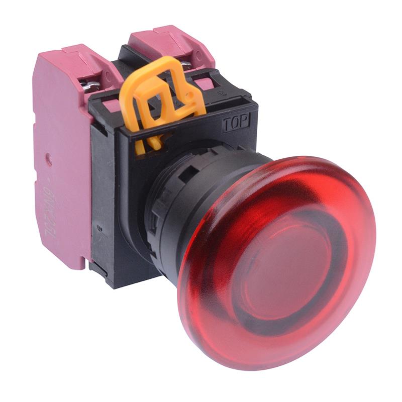 YW1L-A4E02Q4R Red 24V illuminated 22mm Mushroom Maintained Push Button Switch 2NC IP65 IDEC