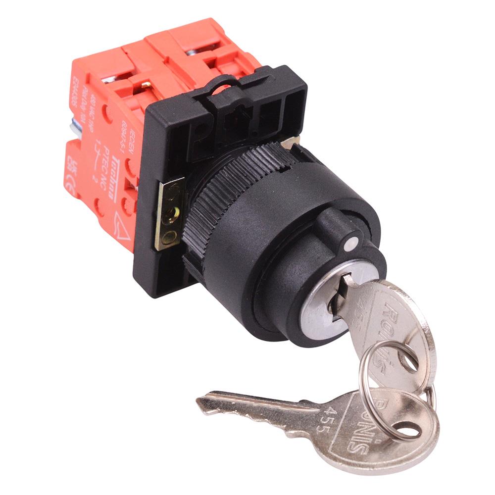 Techna PtecK2CRL 2 Position Plastic Key Switch 10A 2NC