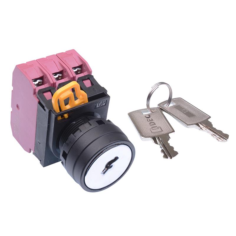 YW1K-2AE03 22mm 2 Position Maintained Key Switch 3NC IP65 IDEC