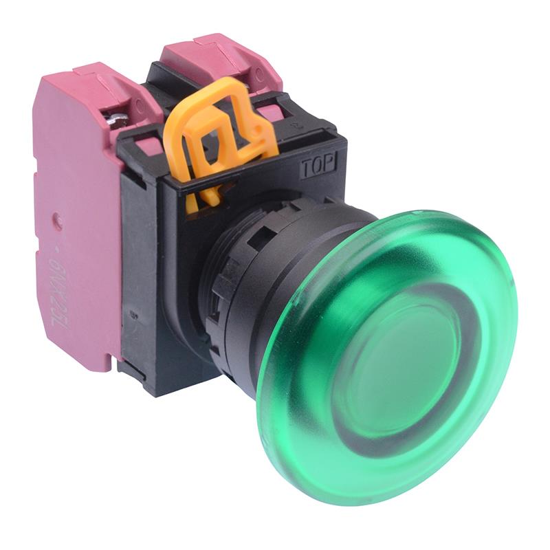 YW1L-A4E02Q3G Green 12V illuminated 22mm Mushroom Maintained Push Button Switch 2NC IP65 IDEC