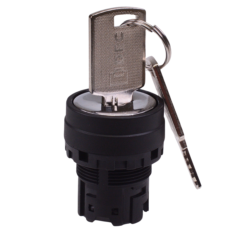 YW1K-2B 22mm 2 Position Maintained Key Switch Head IDEC