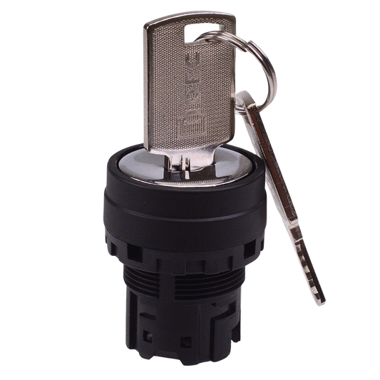 YW1K-2B 22mm 2 Position Maintained Key Switch Head IDEC