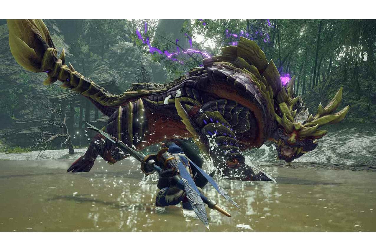 Nintendo Switch Monster Hunter Rise Console Game